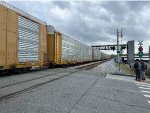 TTGX 835938